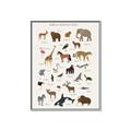 Picture of Animal Alphabet _GroupedProduct_Rectangle_Portrait_Canvas_Framed_