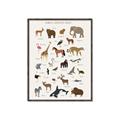 Picture of Animal Alphabet _GroupedProduct_Rectangle_Portrait_Canvas_Framed_