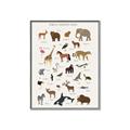 Picture of Animal Alphabet _GroupedProduct_Rectangle_Portrait_Canvas_Framed_
