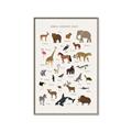 Picture of Animal Alphabet _GroupedProduct_Rectangle_Portrait_Canvas_Framed_