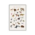 Picture of Animal Alphabet _GroupedProduct_Rectangle_Portrait_Canvas_Framed_