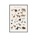 Picture of Animal Alphabet _GroupedProduct_Rectangle_Portrait_Canvas_Framed_