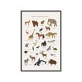 Picture of Animal Alphabet _GroupedProduct_Rectangle_Portrait_Canvas_Framed_