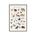 Picture of Animal Alphabet _GroupedProduct_Rectangle_Portrait_Canvas_Framed_