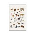 Picture of Animal Alphabet _GroupedProduct_Rectangle_Portrait_Canvas_Framed_
