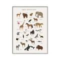 Picture of Animal Alphabet _GroupedProduct_Rectangle_Portrait_Canvas_Framed_