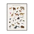 Picture of Animal Alphabet _GroupedProduct_Rectangle_Portrait_Canvas_Framed_
