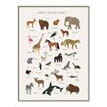 Picture of Animal Alphabet _GroupedProduct_Rectangle_Portrait_Canvas_Framed_