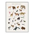 Picture of Animal Alphabet _GroupedProduct_Rectangle_Portrait_Canvas_Framed_