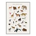 Picture of Animal Alphabet _GroupedProduct_Rectangle_Portrait_Canvas_Framed_