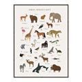 Picture of Animal Alphabet _GroupedProduct_Rectangle_Portrait_Canvas_Framed_