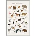 Picture of Animal Alphabet _GroupedProduct_Rectangle_Portrait_Canvas_Framed_