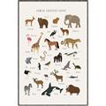 Picture of Animal Alphabet _GroupedProduct_Rectangle_Portrait_Canvas_Framed_