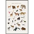 Picture of Animal Alphabet _GroupedProduct_Rectangle_Portrait_Canvas_Framed_