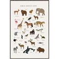 Picture of Animal Alphabet _GroupedProduct_Rectangle_Portrait_Canvas_Framed_