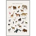 Picture of Animal Alphabet _GroupedProduct_Rectangle_Portrait_Canvas_Framed_