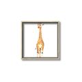 Picture of Standing Tall Giraffe _GroupedProduct_Square_Mini_ _GroupedProduct_Square_Canvas_Framed_
