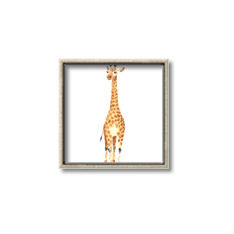 Picture of Standing Tall Giraffe _GroupedProduct_Square_Mini_ _GroupedProduct_Square_Canvas_Framed_