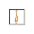 Picture of Standing Tall Giraffe _GroupedProduct_Square_Mini_ _GroupedProduct_Square_Canvas_Framed_