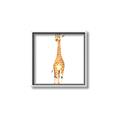 Picture of Standing Tall Giraffe _GroupedProduct_Square_Mini_ _GroupedProduct_Square_Canvas_Framed_