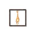 Picture of Standing Tall Giraffe _GroupedProduct_Square_Mini_ _GroupedProduct_Square_Canvas_Framed_