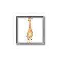 Picture of Standing Tall Giraffe _GroupedProduct_Square_Mini_ _GroupedProduct_Square_Canvas_Framed_