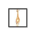 Picture of Standing Tall Giraffe _GroupedProduct_Square_Mini_ _GroupedProduct_Square_Canvas_Framed_
