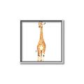 Picture of Standing Tall Giraffe _GroupedProduct_Square_Mini_ _GroupedProduct_Square_Canvas_Framed_