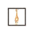 Picture of Standing Tall Giraffe _GroupedProduct_Square_Mini_ _GroupedProduct_Square_Canvas_Framed_