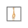 Picture of Standing Tall Giraffe _GroupedProduct_Square_Mini_ _GroupedProduct_Square_Canvas_Framed_