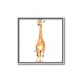Picture of Standing Tall Giraffe _GroupedProduct_Square_Mini_ _GroupedProduct_Square_Canvas_Framed_