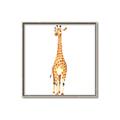 Picture of Standing Tall Giraffe _GroupedProduct_Square_Mini_ _GroupedProduct_Square_Canvas_Framed_
