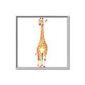 Picture of Standing Tall Giraffe _GroupedProduct_Square_Mini_ _GroupedProduct_Square_Canvas_Framed_