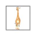 Picture of Standing Tall Giraffe _GroupedProduct_Square_Mini_ _GroupedProduct_Square_Canvas_Framed_