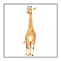 Picture of Standing Tall Giraffe _GroupedProduct_Square_Mini_ _GroupedProduct_Square_Canvas_Framed_