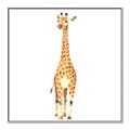 Picture of Standing Tall Giraffe _GroupedProduct_Square_Mini_ _GroupedProduct_Square_Canvas_Framed_
