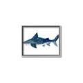 Picture of Shark Attack II  _GroupedProduct_Rectangle_Landscape_Mini_ _GroupedProduct_Rectangle_Landscape_Canvas_Framed_
