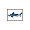 Picture of Shark Attack II  _GroupedProduct_Rectangle_Landscape_Mini_ _GroupedProduct_Rectangle_Landscape_Canvas_Framed_