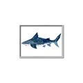 Picture of Shark Attack II  _GroupedProduct_Rectangle_Landscape_Mini_ _GroupedProduct_Rectangle_Landscape_Canvas_Framed_