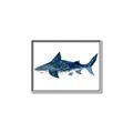 Picture of Shark Attack II  _GroupedProduct_Rectangle_Landscape_Mini_ _GroupedProduct_Rectangle_Landscape_Canvas_Framed_