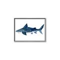 Picture of Shark Attack II  _GroupedProduct_Rectangle_Landscape_Mini_ _GroupedProduct_Rectangle_Landscape_Canvas_Framed_