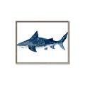 Picture of Shark Attack II  _GroupedProduct_Rectangle_Landscape_Mini_ _GroupedProduct_Rectangle_Landscape_Canvas_Framed_