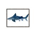 Picture of Shark Attack II  _GroupedProduct_Rectangle_Landscape_Mini_ _GroupedProduct_Rectangle_Landscape_Canvas_Framed_