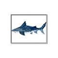 Picture of Shark Attack II  _GroupedProduct_Rectangle_Landscape_Mini_ _GroupedProduct_Rectangle_Landscape_Canvas_Framed_