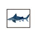 Picture of Shark Attack II  _GroupedProduct_Rectangle_Landscape_Mini_ _GroupedProduct_Rectangle_Landscape_Canvas_Framed_