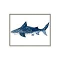 Picture of Shark Attack II  _GroupedProduct_Rectangle_Landscape_Mini_ _GroupedProduct_Rectangle_Landscape_Canvas_Framed_