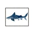 Picture of Shark Attack II  _GroupedProduct_Rectangle_Landscape_Mini_ _GroupedProduct_Rectangle_Landscape_Canvas_Framed_