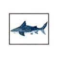 Picture of Shark Attack II  _GroupedProduct_Rectangle_Landscape_Mini_ _GroupedProduct_Rectangle_Landscape_Canvas_Framed_