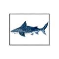 Picture of Shark Attack II  _GroupedProduct_Rectangle_Landscape_Mini_ _GroupedProduct_Rectangle_Landscape_Canvas_Framed_