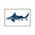 Picture of Shark Attack II  _GroupedProduct_Rectangle_Landscape_Mini_ _GroupedProduct_Rectangle_Landscape_Canvas_Framed_